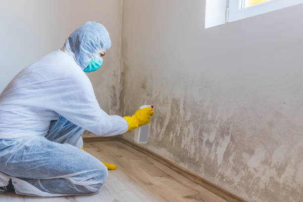 Hvac And Air Duct Mold Remediation inspection of HVAC system in Oldtown